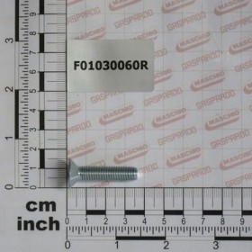 Maschio Gaspardo Surub M8x1.25x35 F01030060R