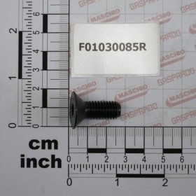 Maschio Gaspardo SURUB M10X 1,5X25 U5933 10.9 F01030085R