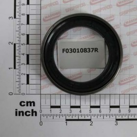 OIL SEAL 55X 80X16