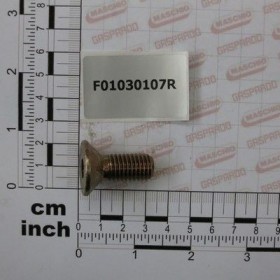 Maschio Gaspardo SURUB M12X1,75X30 5933 10.9 ZN F01030107R