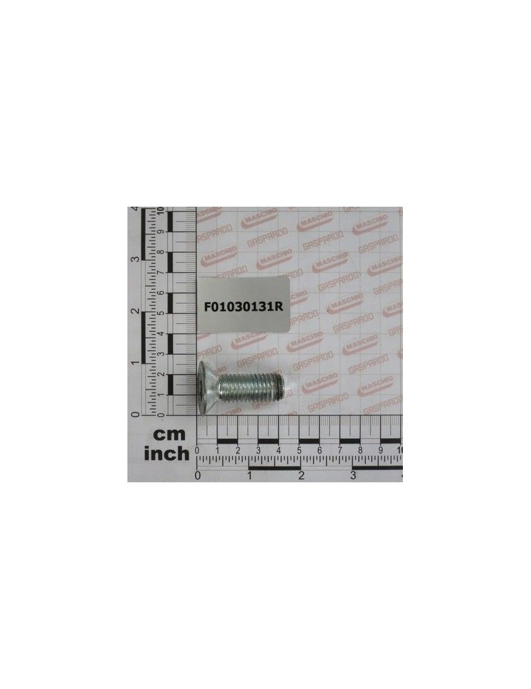 Maschio Gaspardo SURUB M14X2X40 U5933 10.9ZD F01030131R