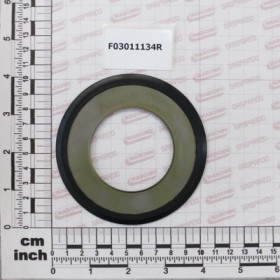 SEALING RING 55-100