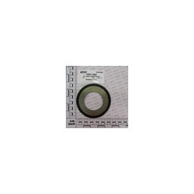 O RING AGRILO 65X120