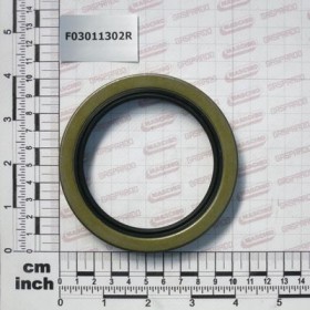 SEALING RING 3,00\"X4,00\"X0,25\"