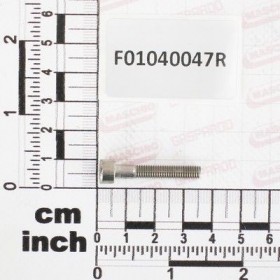 Maschio Gaspardo SUR. M5X0,8X30 U5931 A2 IX F01040047R