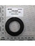 OIL SEAL 62X100X12 NORM