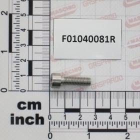 Maschio Gaspardo SURUB M6X1X20 UNI5931 A2 IX F01040081R