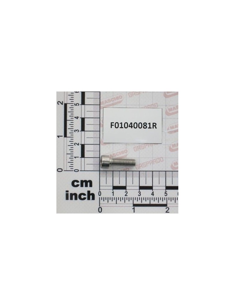 Maschio Gaspardo SURUB M6X1X20 UNI5931 A2 IX F01040081R