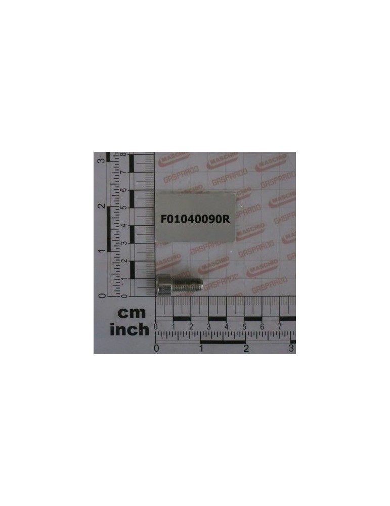 Maschio Gaspardo SURUB M8X 1.25X18 U5931 IX A2 F01040090R