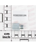 COLUMN M/F BSP 1/4-19 L-33