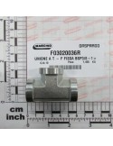 TEE - FIXED FEMALE BSP 3/8-19