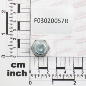 MALE CAP BSP 1/4-19