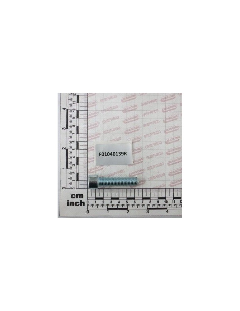 Maschio Gaspardo VITE M12X1,75X50 U5931 8.8ZN F01040139R