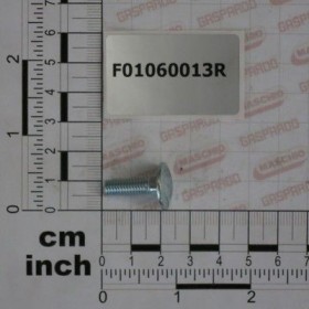 Maschio Gaspardo SURUB M 6X 1X 20 U5732 4.6 ZN F01060013R