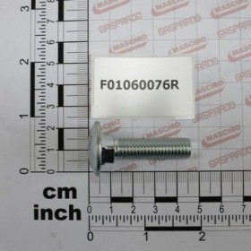 Maschio Gaspardo SURUB M10X1,5X40 U5731 8.8ZN F01060076R