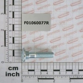 Maschio Gaspardo SURUB M10X1,5X 45 U5732 4.8 ZB F01060077R