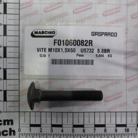 Maschio Gaspardo SURUB 10X60 5732 8.G F01060082R