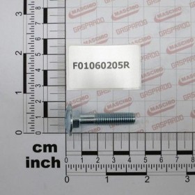 Maschio Gaspardo SURUB M 8X1,25X40 U5731 4.6 ZB F01060205R