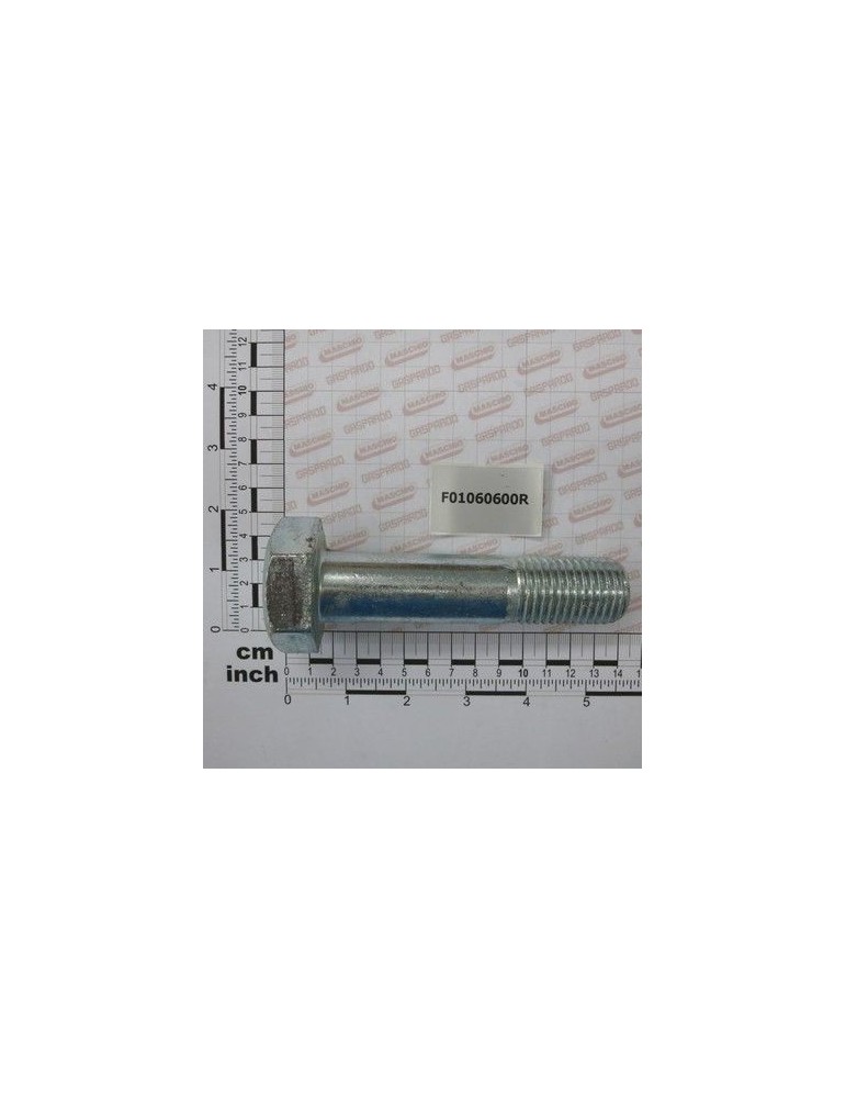 Maschio Gaspardo SURUB M27X3X115 U5712 10.9ZN F01060600R