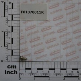 Maschio Gaspardo SURUB AUTOF.4,2X9,5T.E.TAG.F.R F01070011R