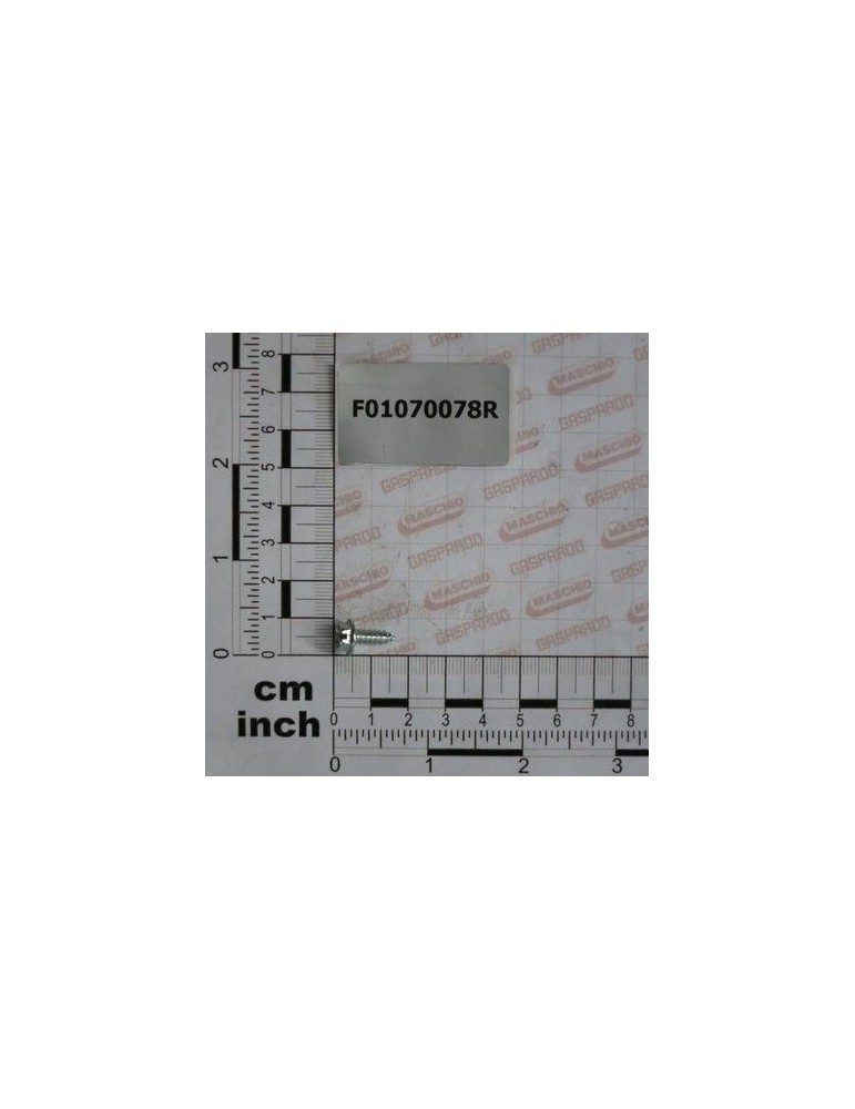 Maschio Gaspardo SUR.A.4,2X1,41X9,5 6950 4.8 ZN F01070078R