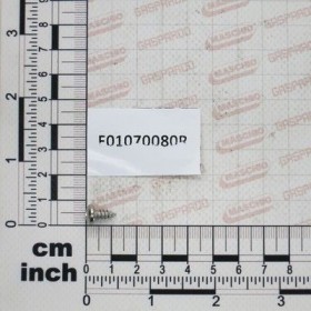 Maschio Gaspardo SUR. A4,2X1,41X9,5 U6954 A2 IX F01070080R