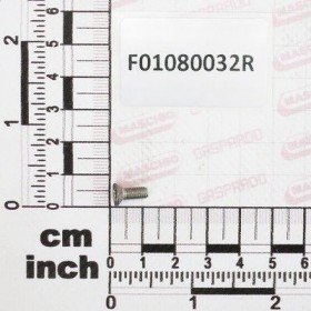 Maschio Gaspardo SURUB M4X 0.7X10 U7688 A2 IX F01080032R