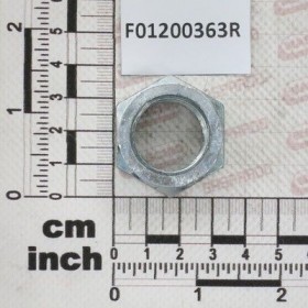 Maschio Gaspardo DADO M22X1,5 U5588 CL8 ZN - F01200363R