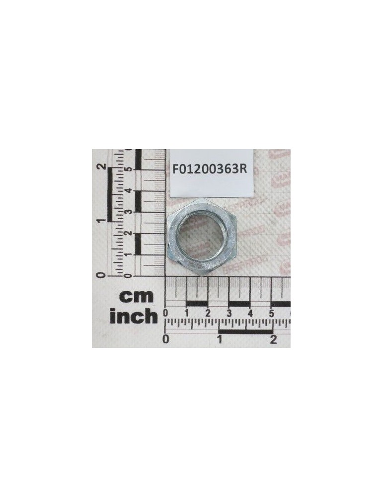 Maschio Gaspardo DADO M22X1,5 U5588 CL8 ZN - F01200363R