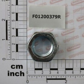 Maschio Gaspardo PIULITA M24X 3 U5588 6.8 ZN F01200379R