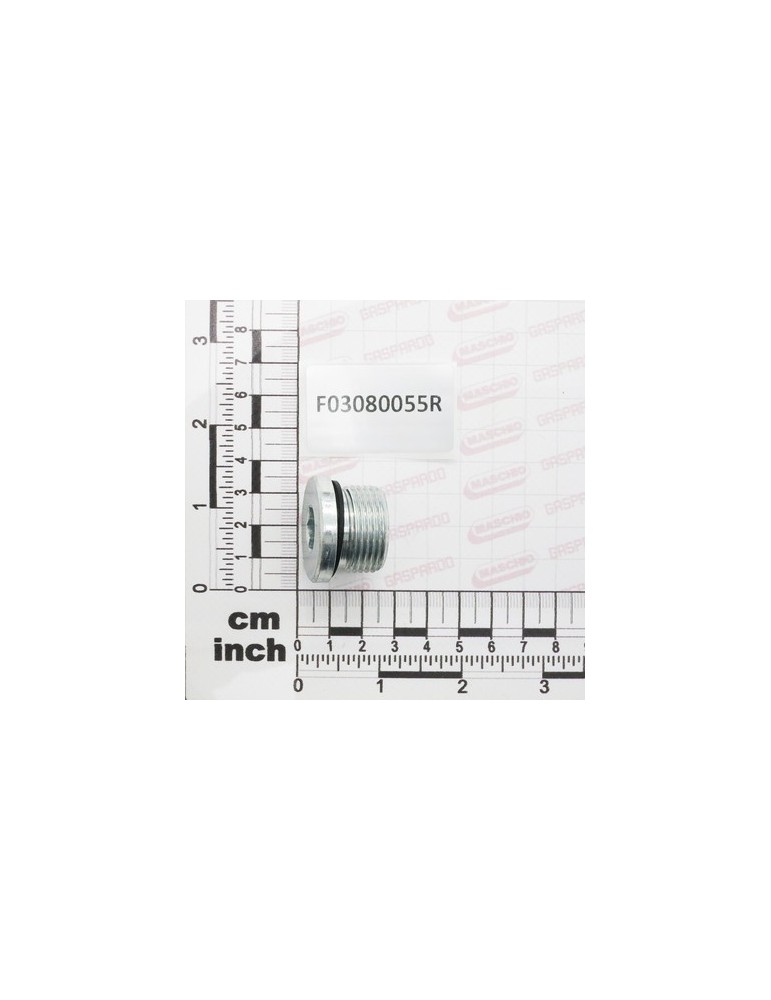 PLUG M 3/4 SEAL