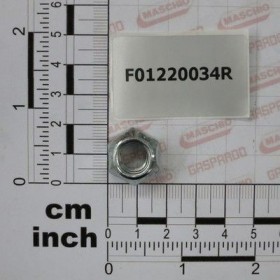 Maschio Gaspardo PIUL.M10X1,25 D980 8 ZB F01220034R