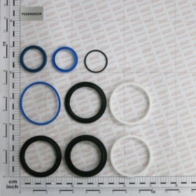 KIT O-RING  CYLINDER F03090001