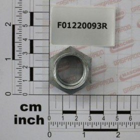 Maschio Gaspardo PIUL. AUTOBL.M20X1,5 D980 8ZN F01220093R