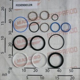 GASKET KIT CYLINDER F03090011