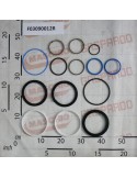 GASKET KIT CYLINDER F03090011