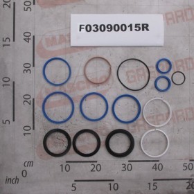 KIT O-RING  CYLINDER F03090010