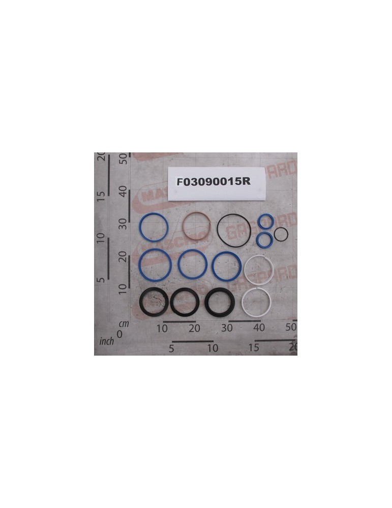 KIT O-RING  CYLINDER F03090010