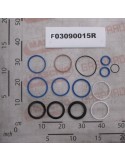 KIT O-RING  CYLINDER F03090010