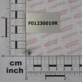 Maschio Gaspardo PIULITA AUTOB.NOR.5 ZN F01230019R