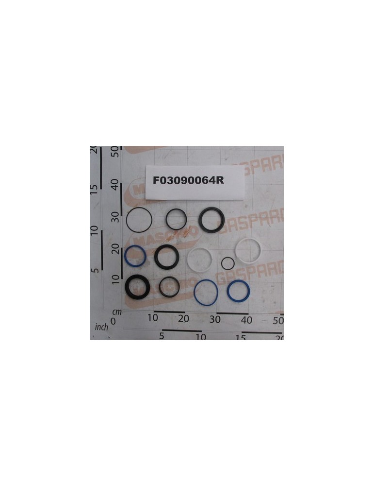 KIT O-RING CYLINDER F03090045