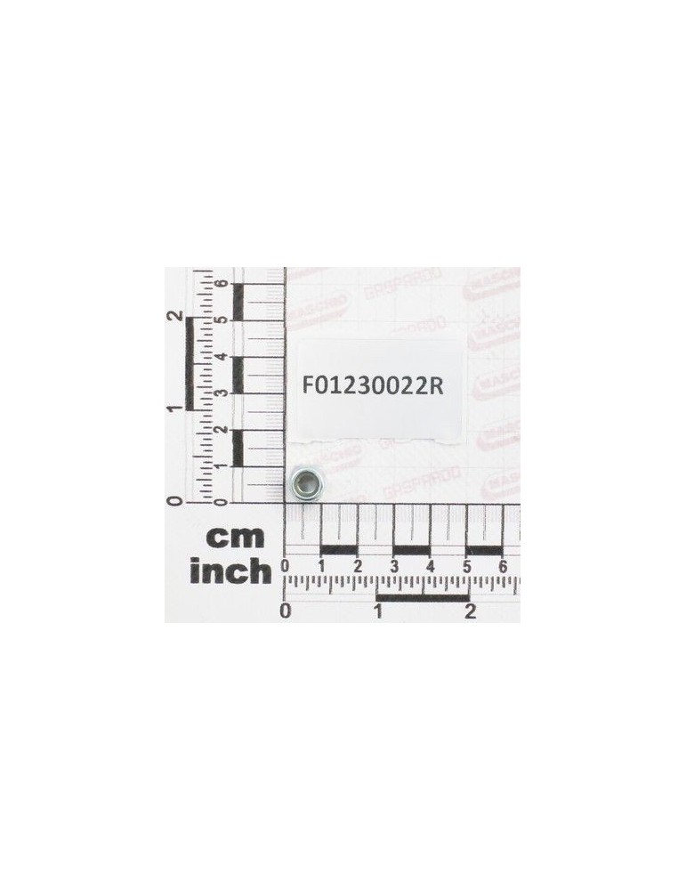 Maschio Gaspardo PIULITA M6X 1 D982 8 ZN F01230022R