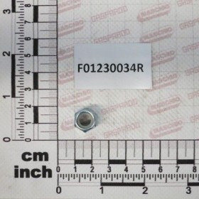 Maschio Gaspardo Piulita M8x1.25 F01230034R