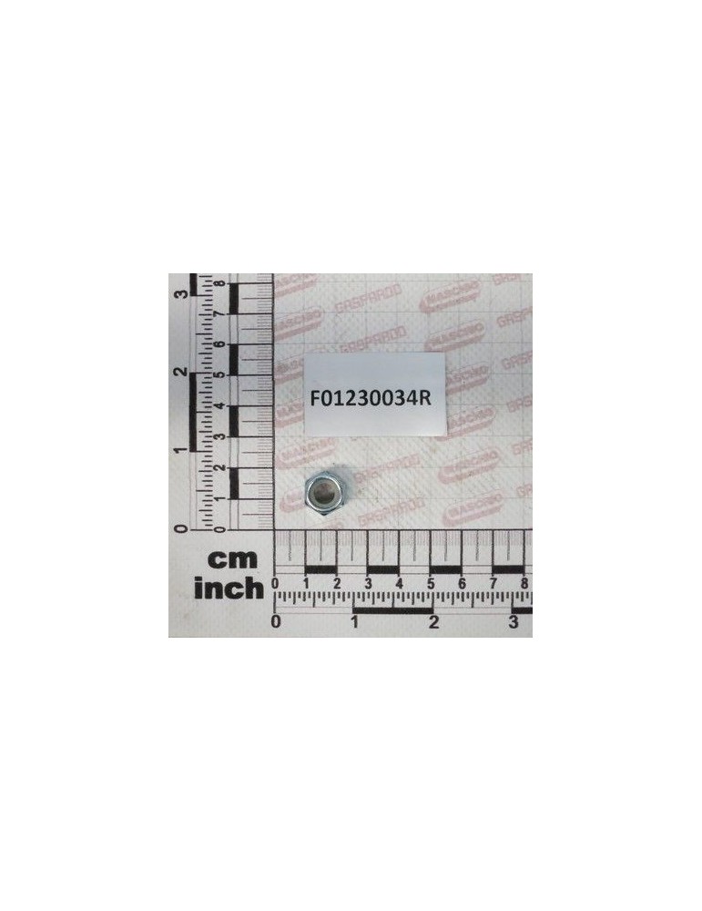 Maschio Gaspardo Piulita M8x1.25 F01230034R