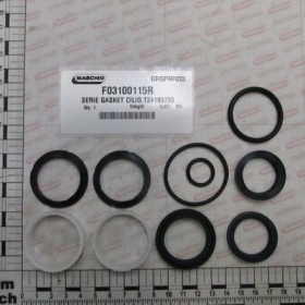 SERIE GASKET CILID.T24199730