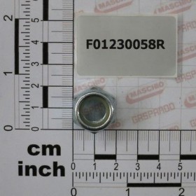 Maschio Gaspardo PIULITA M12X1,25 D982 8 ZN F01230058R