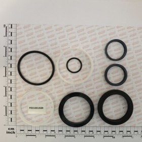 GASKET SET (58100841)