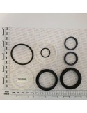 GASKET SET (58100841)