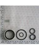 KIT O-RING  CYLINDER 15313210