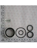 KIT O-RING  CYLINDER 15312730